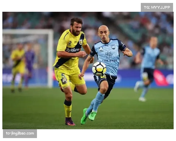 悉尼FC迎战中央海岸水手 罗里坎普扎诺领衔首发阵容